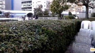 国产av一区二区三区